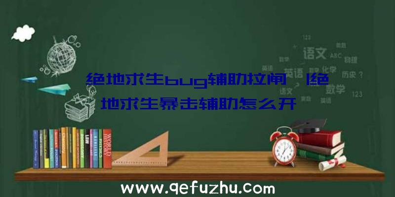「绝地求生bug辅助拉闸」|绝地求生暴击辅助怎么开